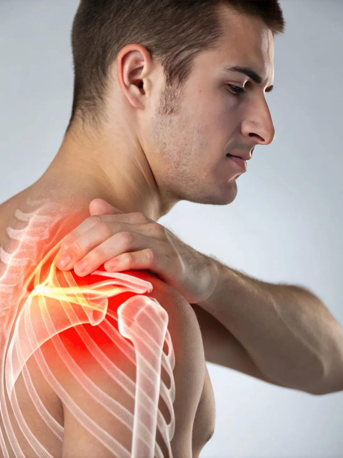 3D anatomical visualization of the shoulder joint skeletal structure